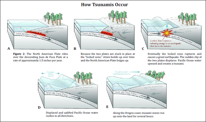 Tsunami - How they occur.